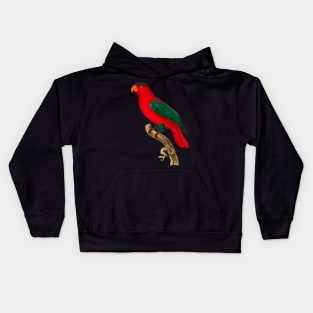 Black Panther Art - Beautiful Parrot 5 Kids Hoodie